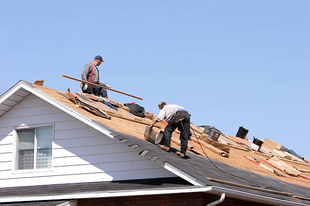 Steel Roofing in Lake Shore, WA